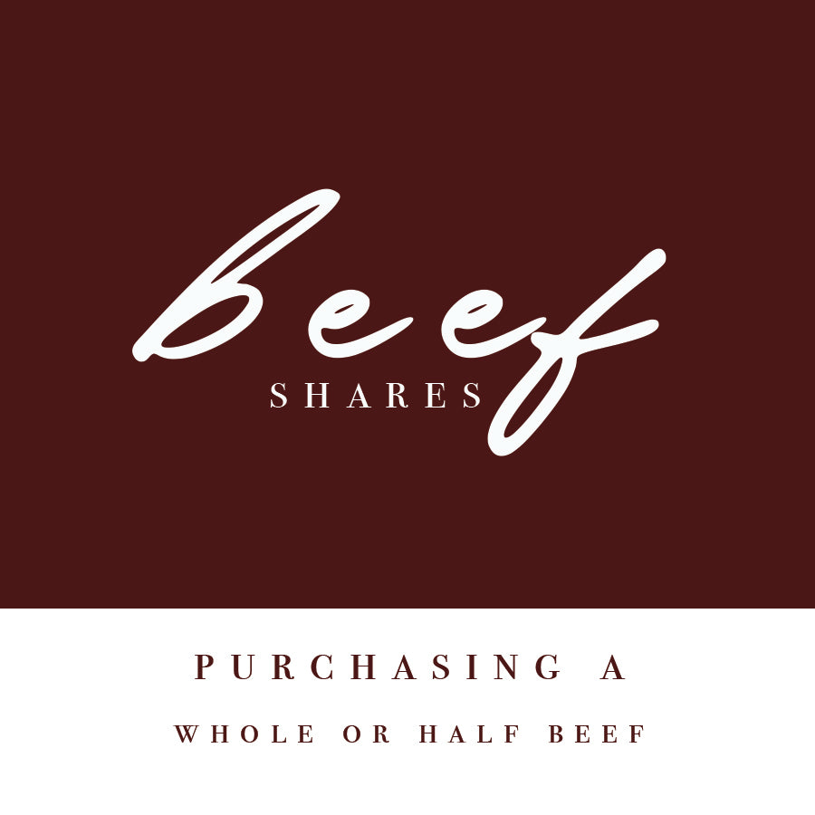 Beef Shares